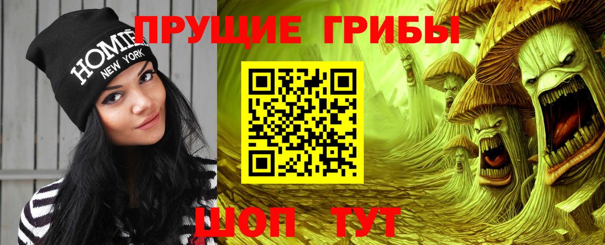Псилоцибиновые грибы Cubensis Псков