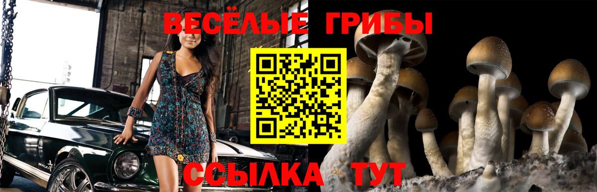 где купить наркоту  Вход с VPN  Псков  Псилоцибиновые грибы мухоморы 